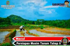 MACUL, PERSIAPAN MUSIM TANAM KEDUA